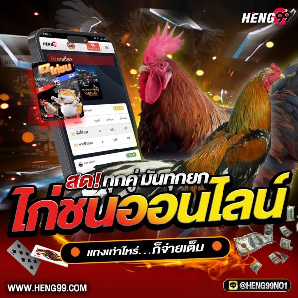 ไก่ชนออนไลน์ สดทุกคู่มันทุกยก-" Cockfighting online, every match live, every round."