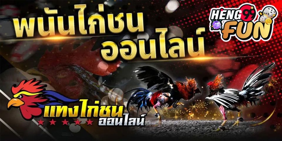 เกมไก่ชน-"cockfighting game"